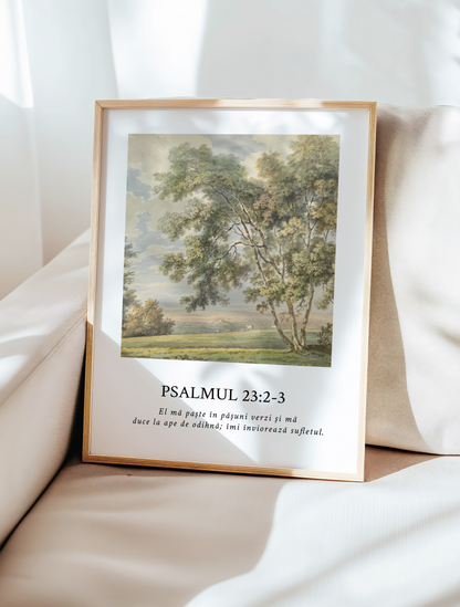 POSTER PSALMUL 23:2-3