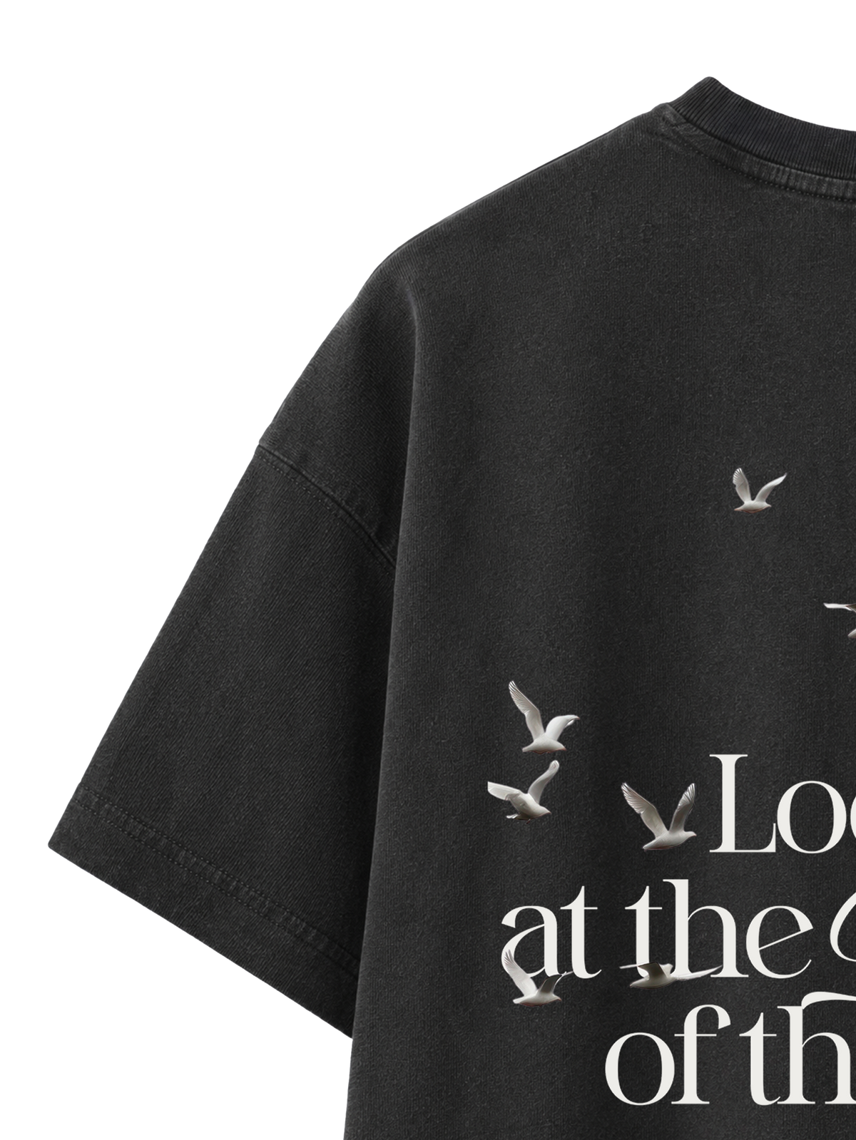 VINTAGE RELAXED FIT T-SHIRT LOOK AT THE BIRDS - black-rock-back-close-1.png - 7