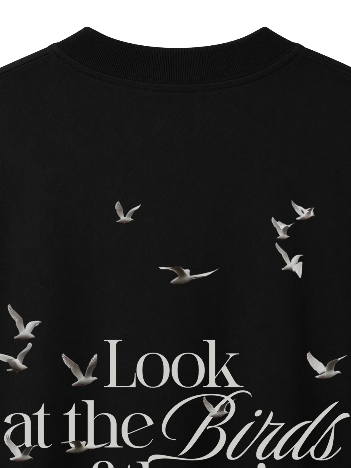 OVERSIZED T-SHIRT LOOK AT THE BIRDS - blaster-black-back-close-1.png - 6