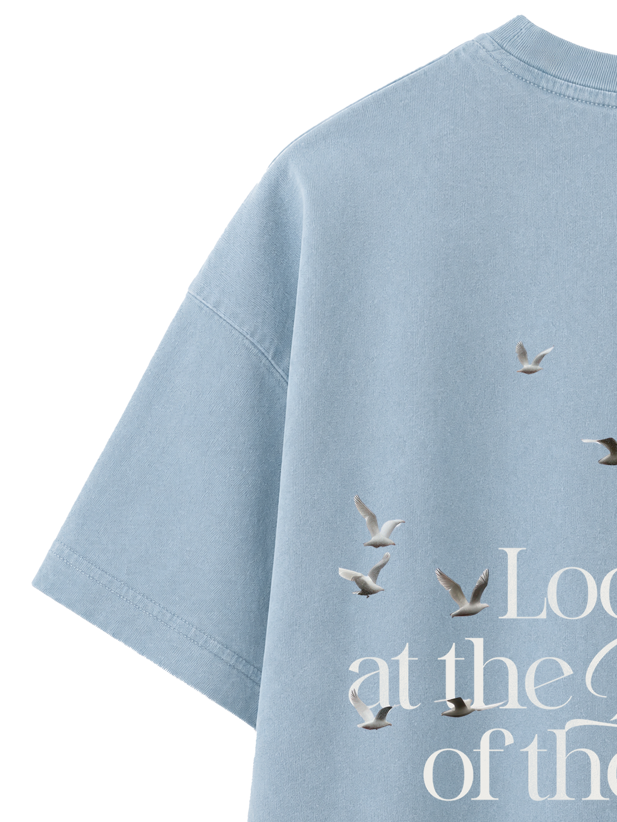 VINTAGE RELAXED FIT T-SHIRT LOOK AT THE BIRDS - blue-stone-back-close-1.png - 3