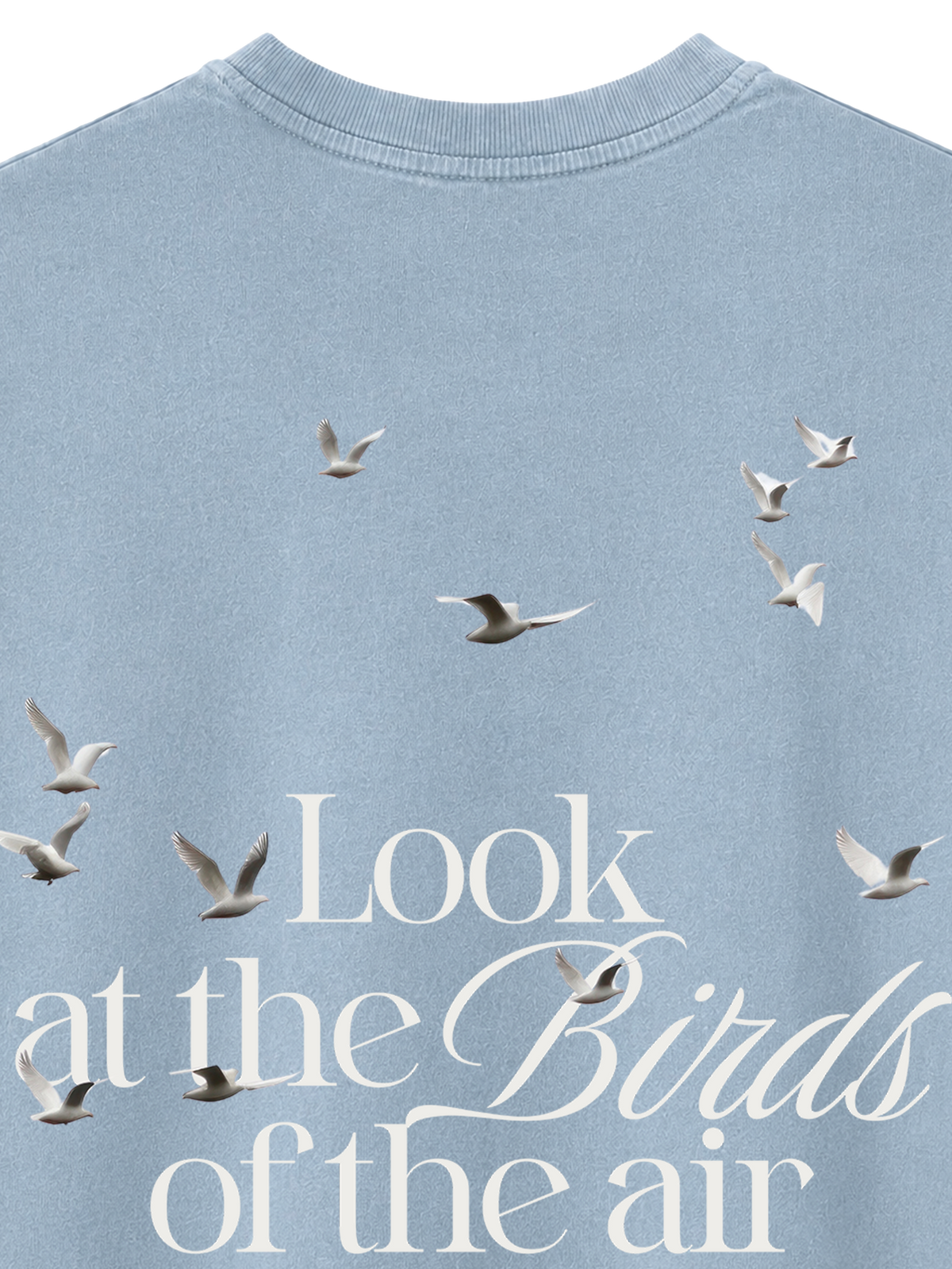 VINTAGE RELAXED FIT T-SHIRT LOOK AT THE BIRDS - blue-stone-back-close-2.png - 2