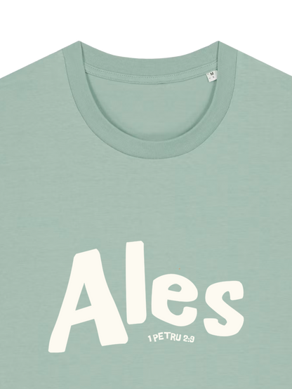 REGULAR FIT T-SHIRT ALES - creator-aloe-front-close-1.png - 2