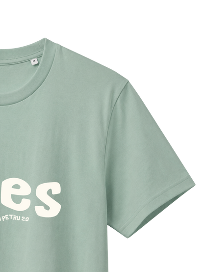REGULAR FIT T-SHIRT ALES - creator-aloe-front-close-2.png - 3