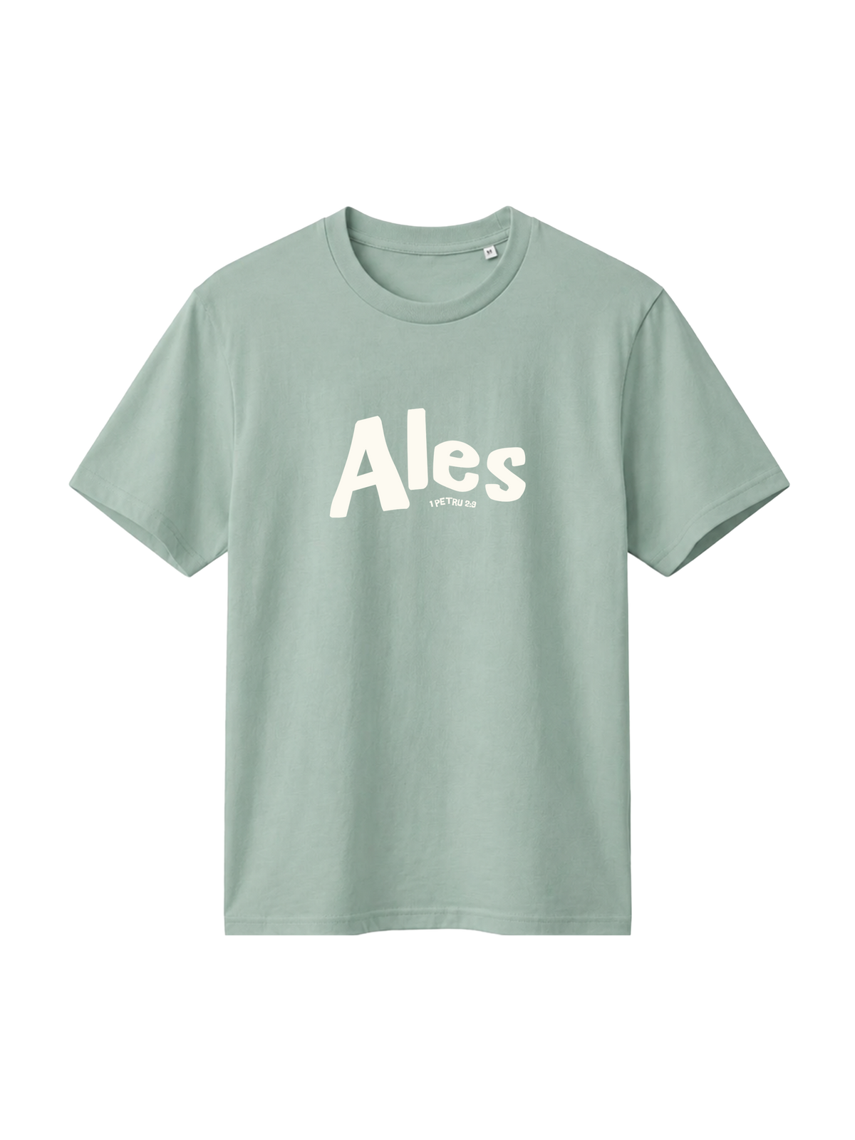 REGULAR FIT T-SHIRT ALES - creator-aloe-front.png - 1