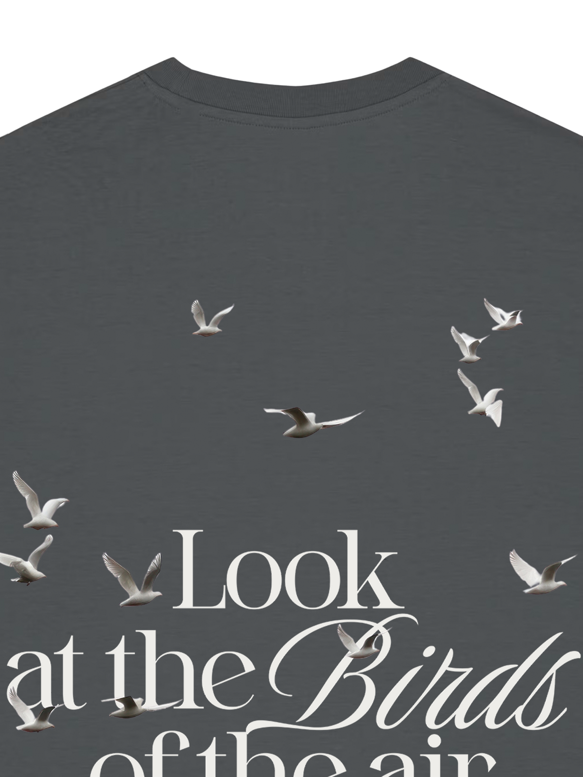 REGULAR FIT T-SHIRT LOOK AT THE BIRDS - creator-anthracite-back-close-1.png - 5