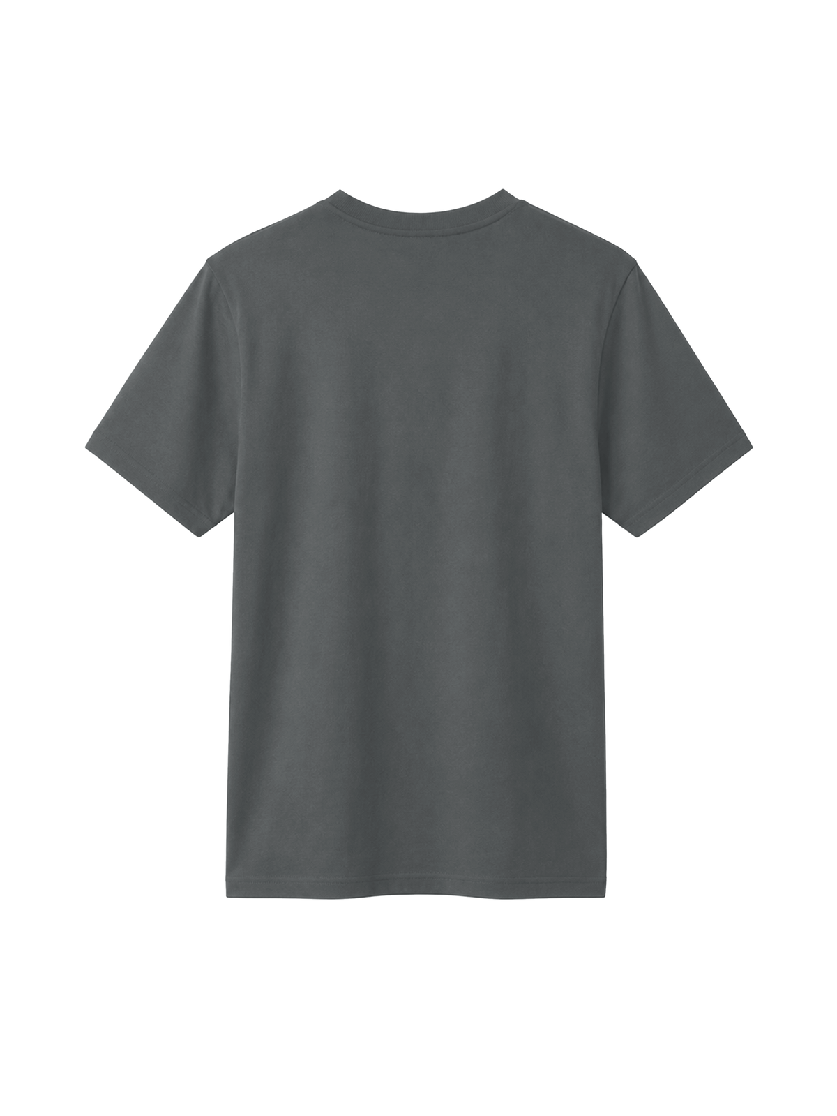 REGULAR FIT T-SHIRT ALES - creator-anthracite-back.png - 8