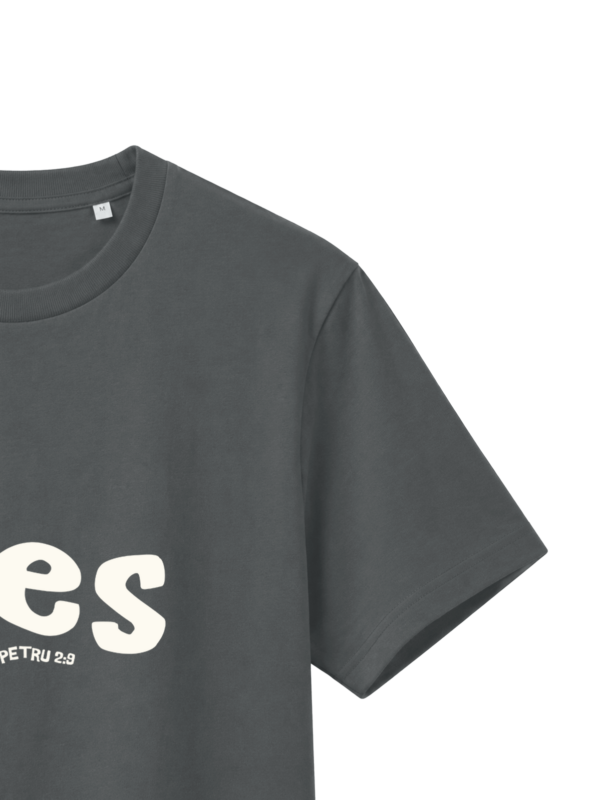 REGULAR FIT T-SHIRT ALES - creator-anthracite-front-close-2.png - 7