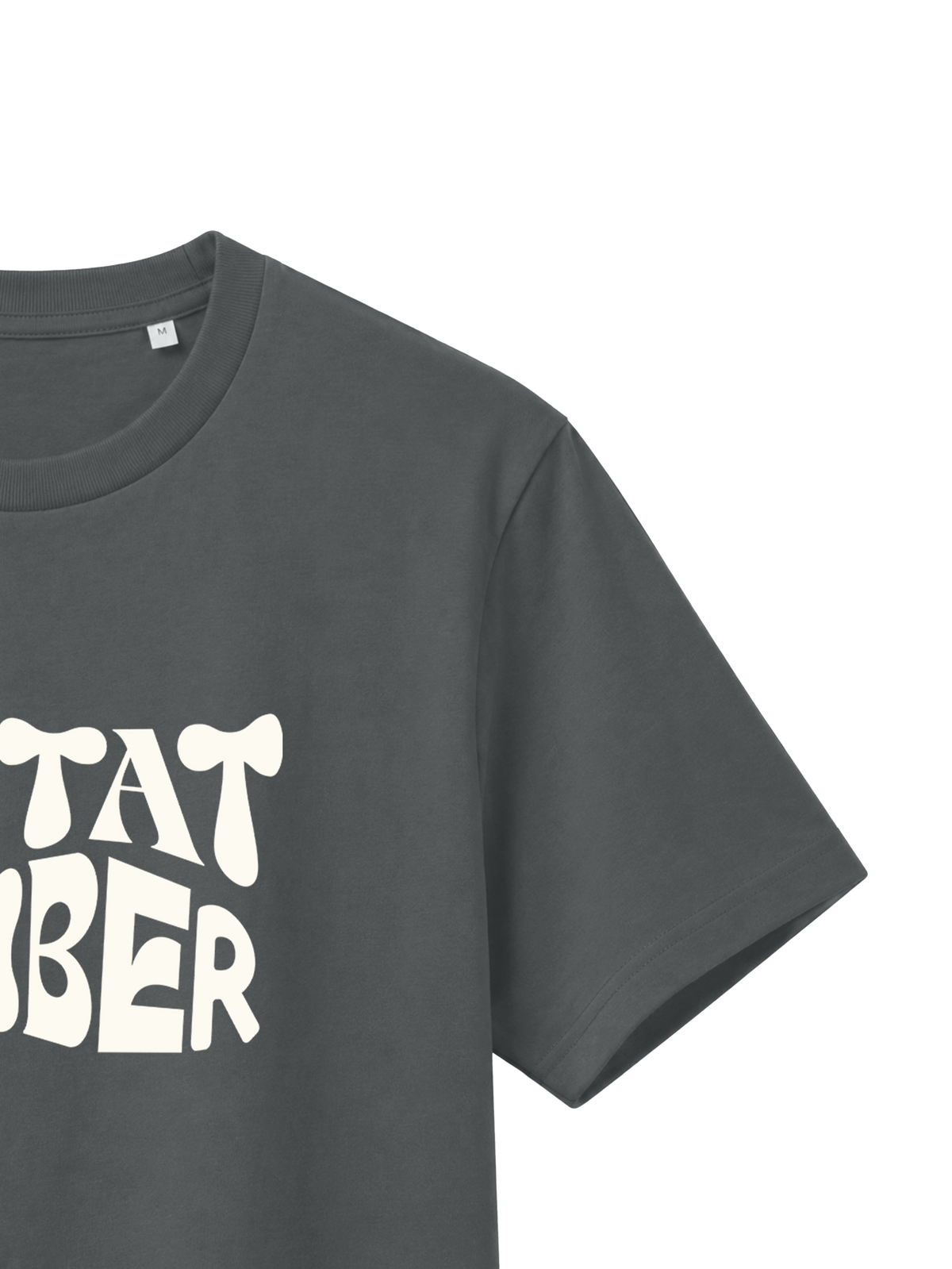 REGULAR FIT T-SHIRT IERTAT SI LIBER - creator-anthracite-front-close-2.png - 7