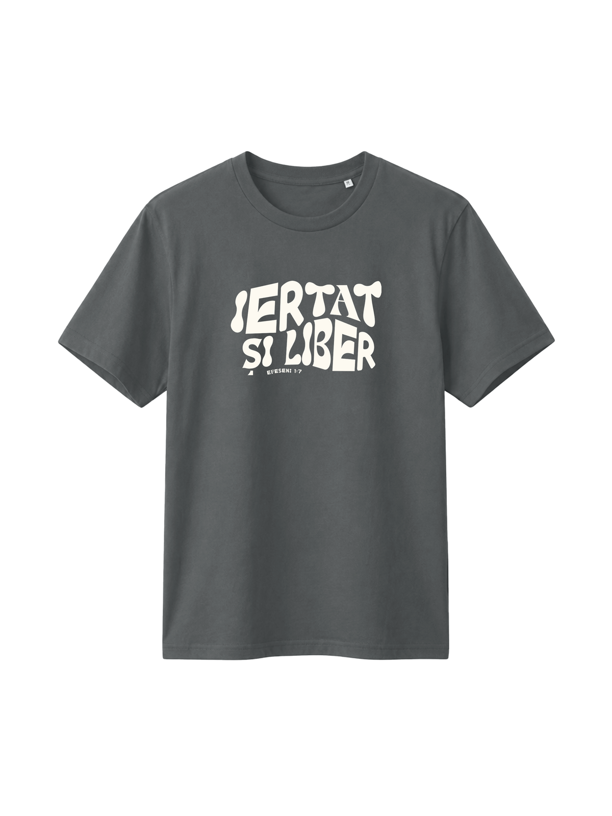 REGULAR FIT T-SHIRT IERTAT SI LIBER - creator-anthracite-front.png - 5