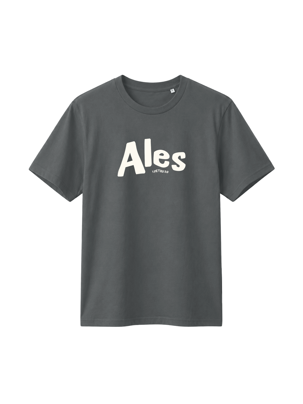 REGULAR FIT T-SHIRT ALES - creator-anthracite-front.png - 5