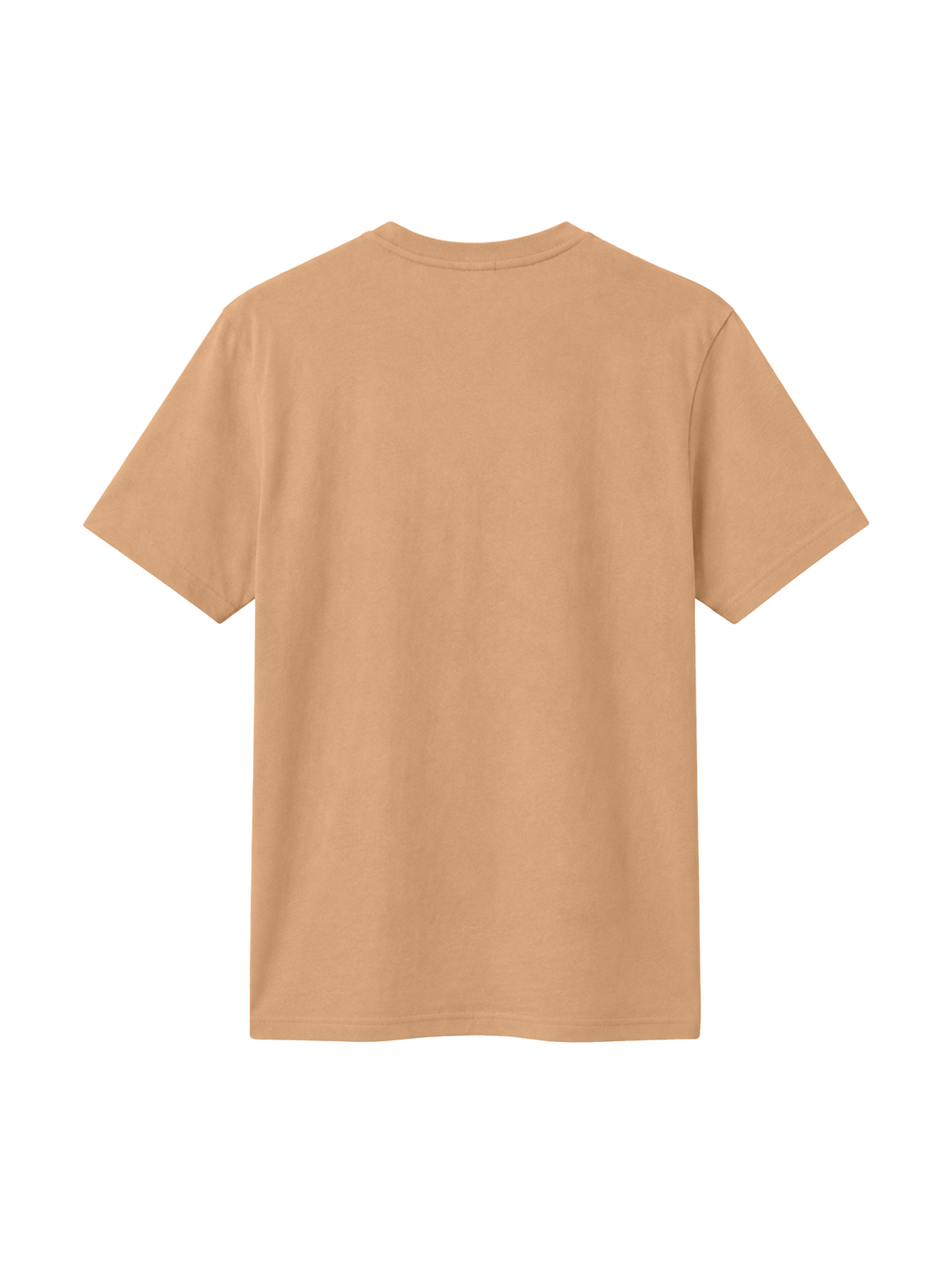 REGULAR FIT T-SHIRT TRUTH WILL SET YOU FREE - creator-latte-back 19.44.16.png - 8