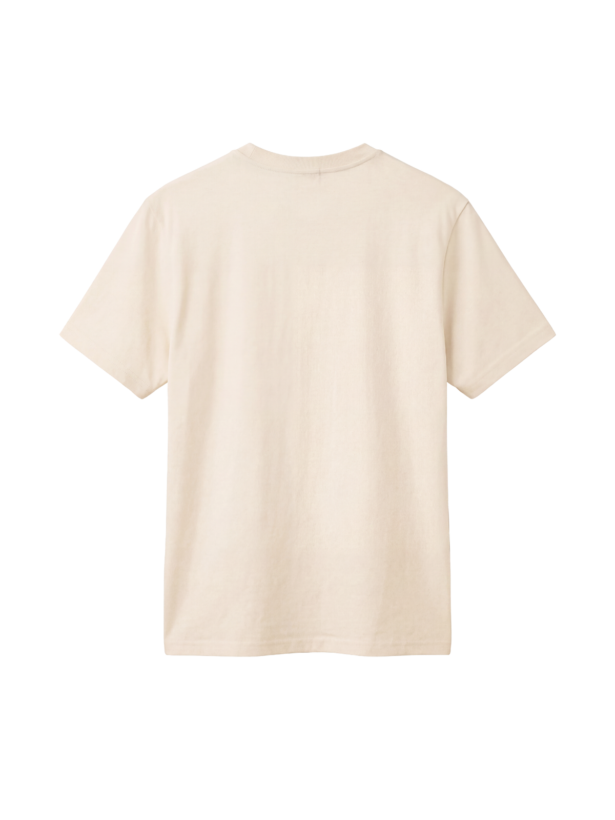 REGULAR FIT T-SHIRT PRAY ABOUT IT - creator-natural-raw-back.png - 8