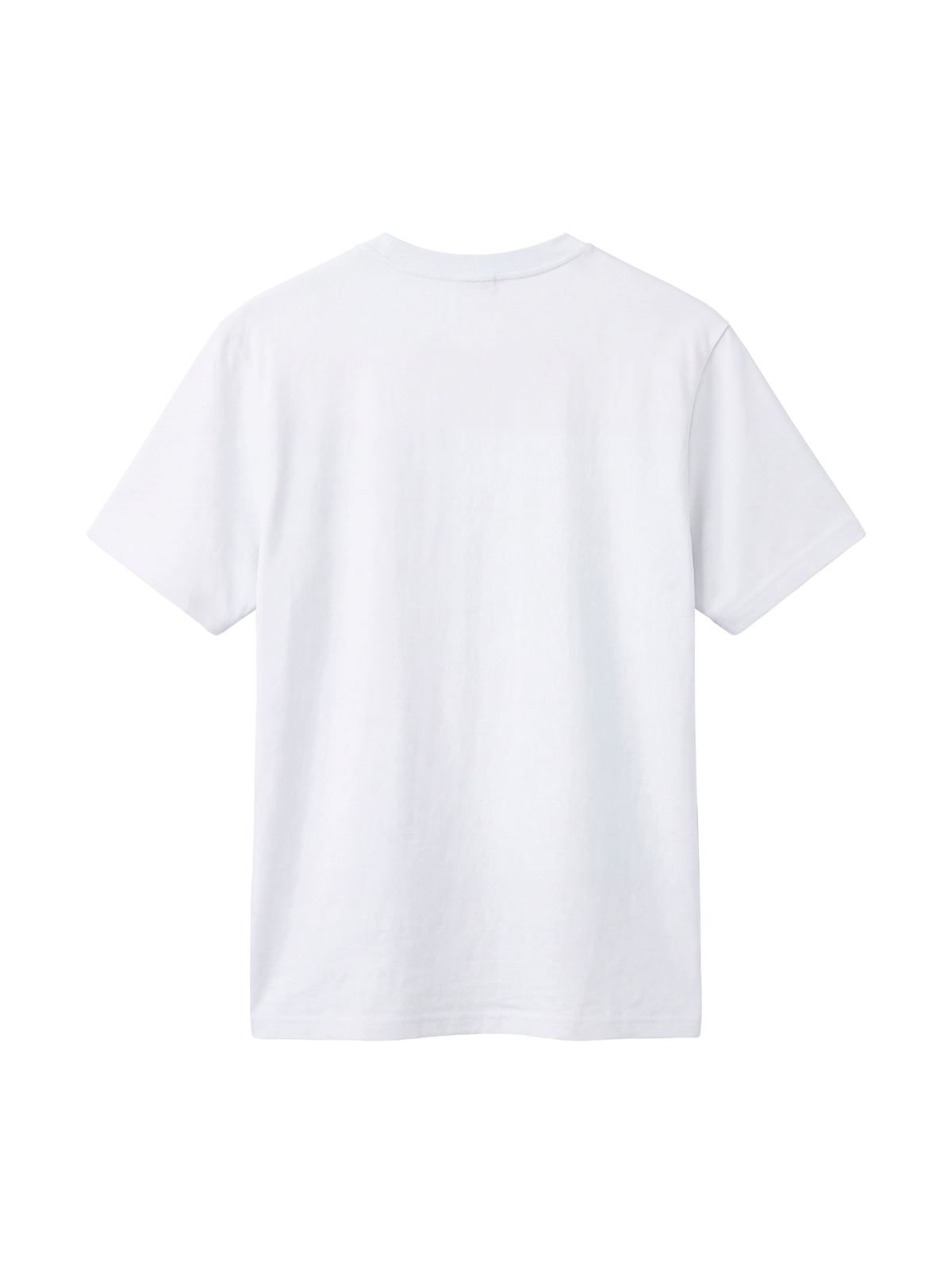 REGULAR FIT T-SHIRT TRUTH WILL SET YOU FREE - creator-white-back.png - 4