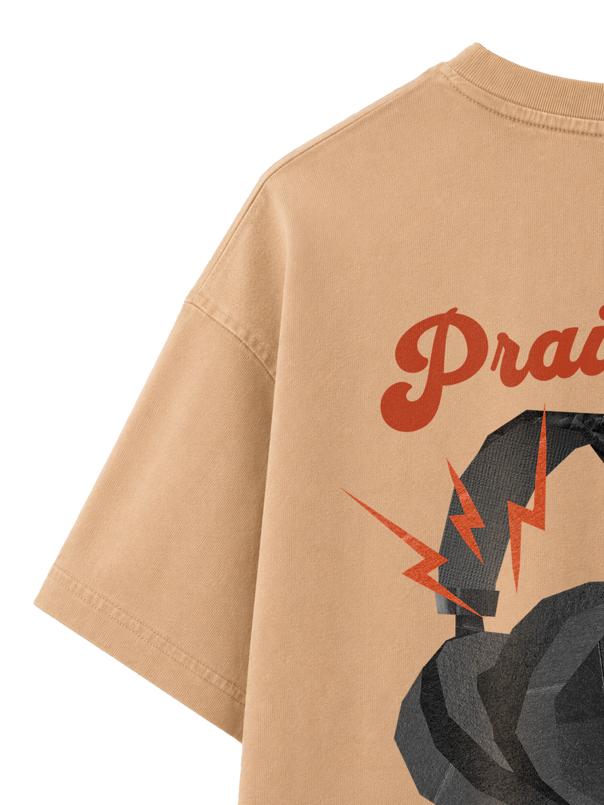 VINTAGE RELAXED FIT T-SHIRT PRAISE IS MY PLAYLIST - dyed-latte-back-close-1.png - 5