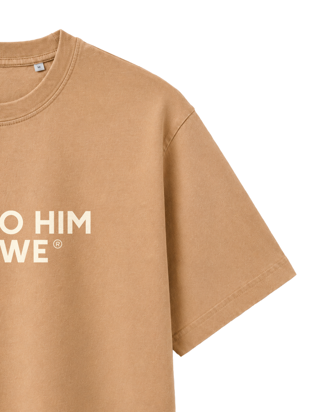 VINTAGE RELAXED FIT T-SHIRT ALL TO HIM I OWE - latte-front-close-3.png - 3