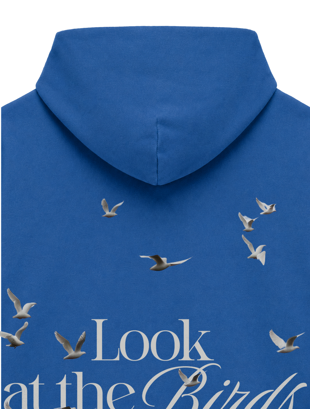 OVERSIZED HOODIE LOOK AT THE BIRDS - slammer-mindful-blue-back-close-1.png - 2