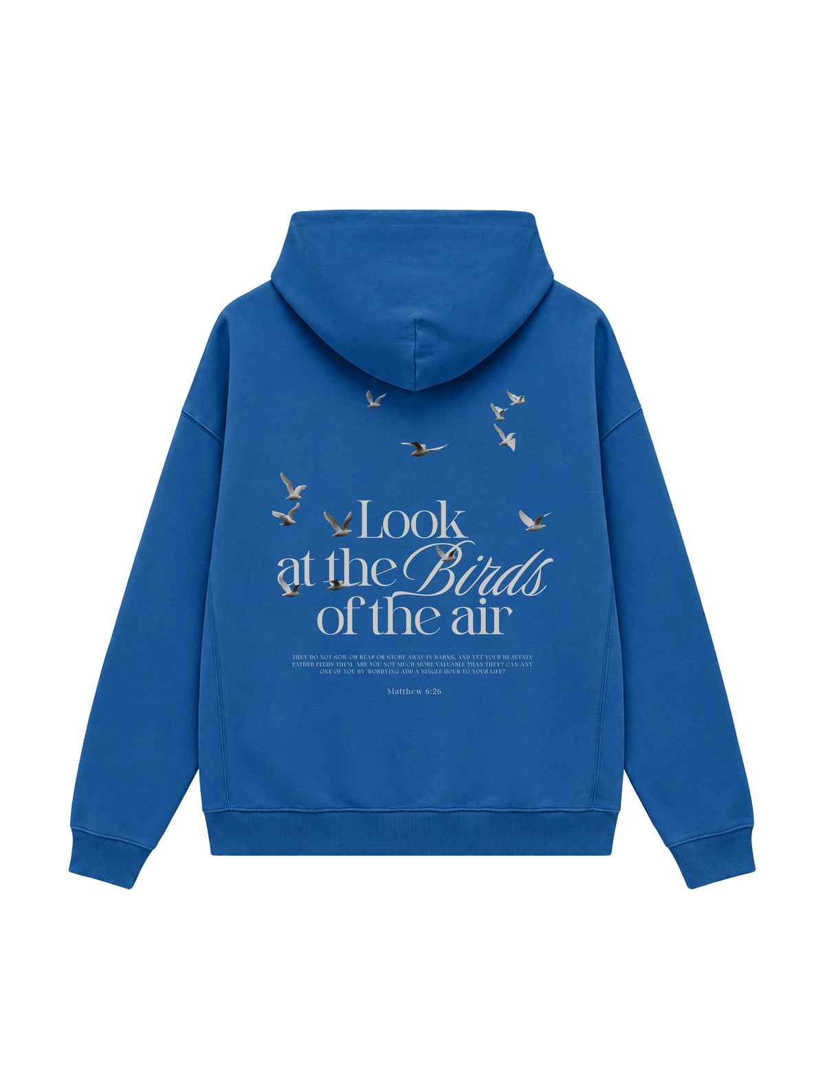 OVERSIZED HOODIE LOOK AT THE BIRDS - slammer-mindful-blue-back.png - 1