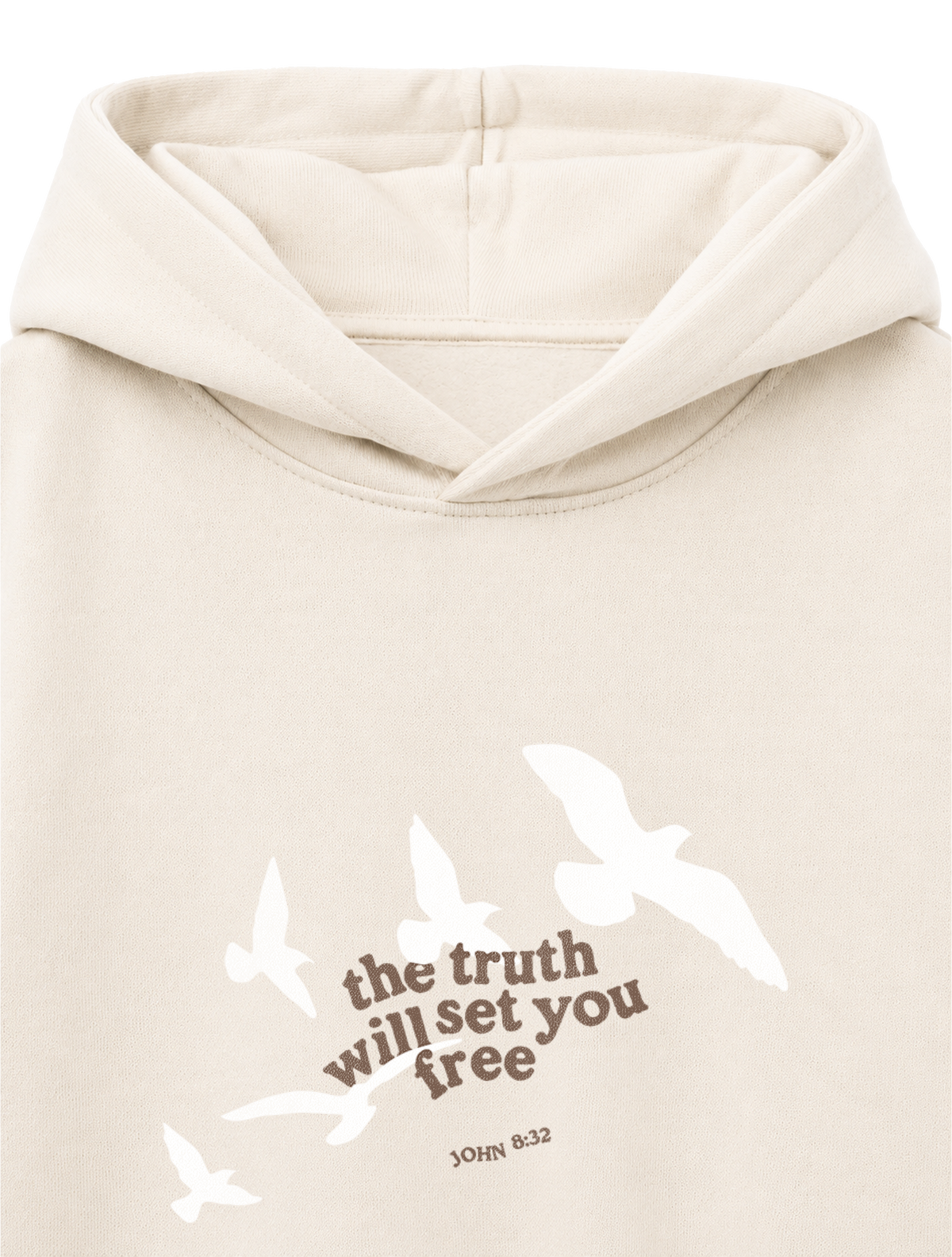 OVERSIZED HOODIE THE TRUTH WILL SET YOU FREE - slammer-natural-raw-front-close-1 12.02.25.png - 2
