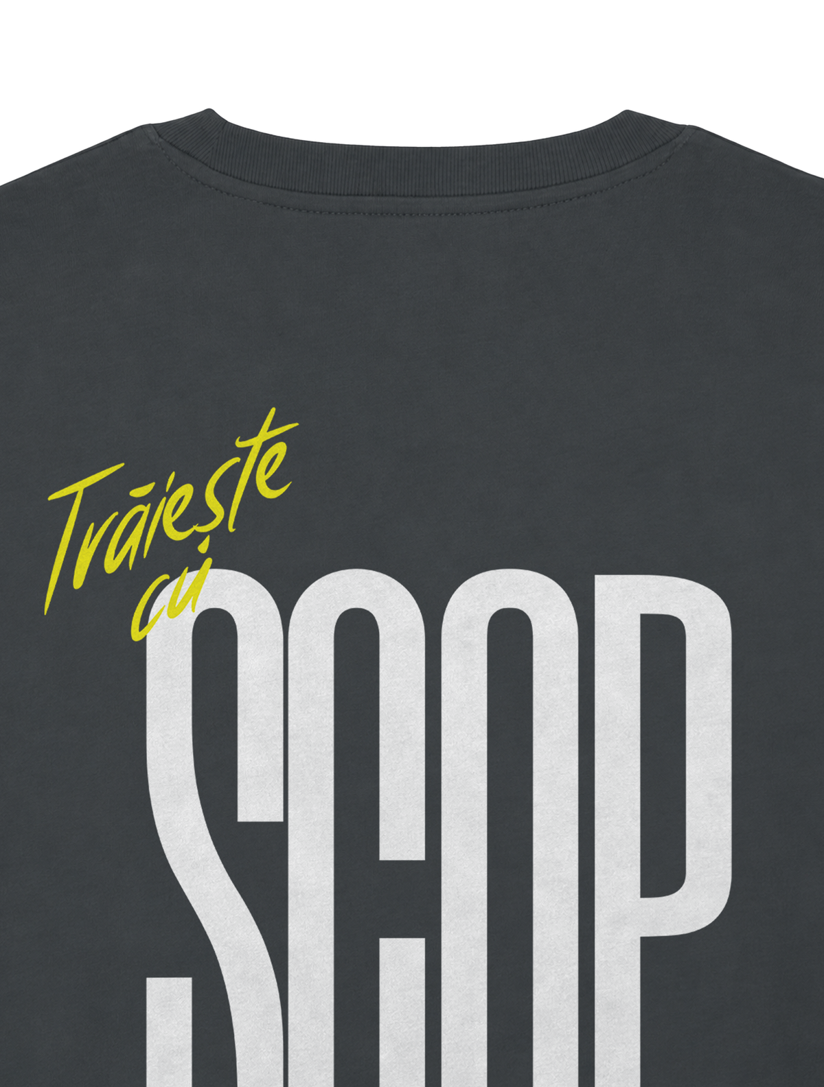 RELAXED FIT T-SHIRT TRAIESTE CU SCOP - sparker-anthracite-back-close-1.png - 8