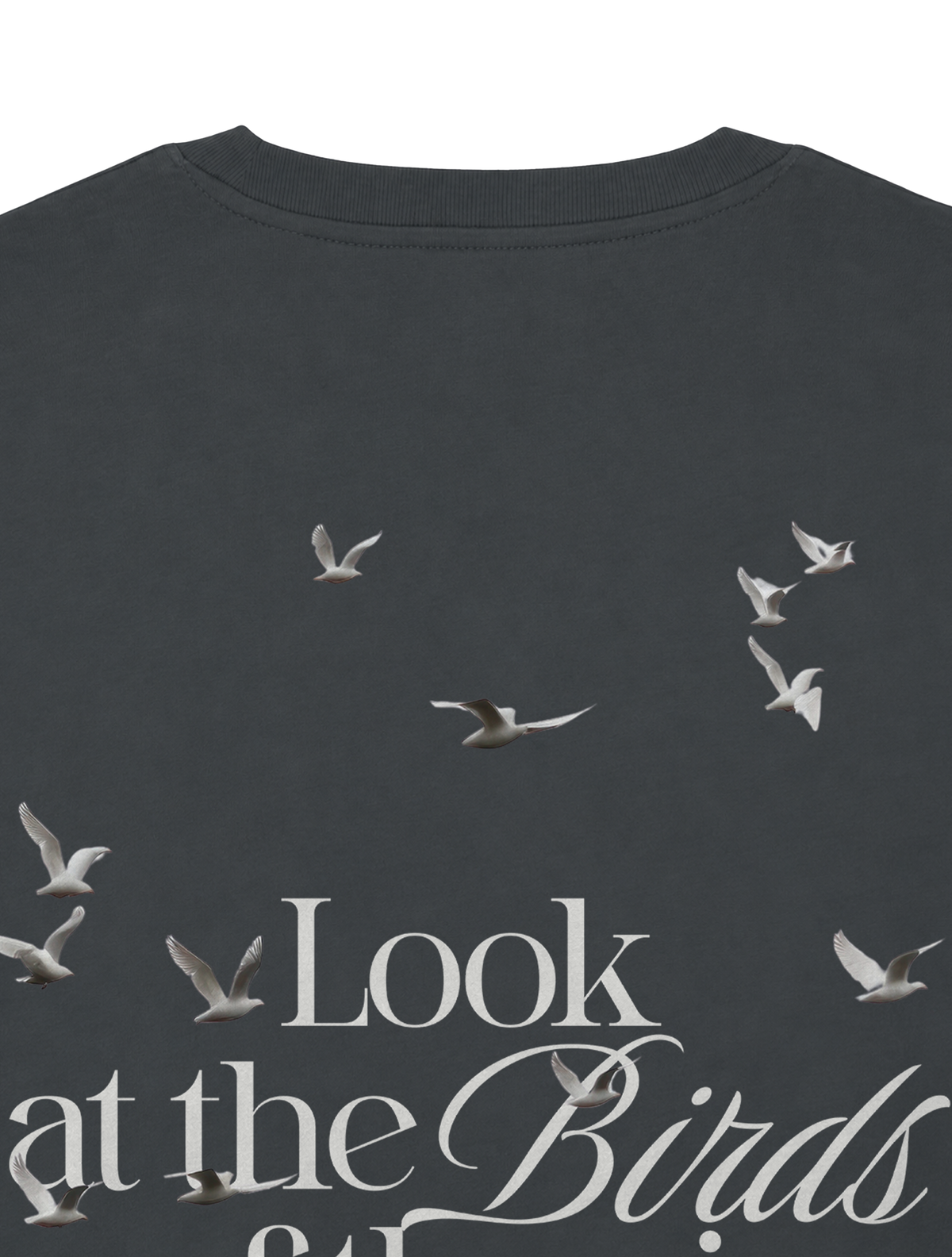 RELAXED FIT T-SHIRT LOOK AT THE BIRDS - sparker-anthracite-back-close-1.png - 8