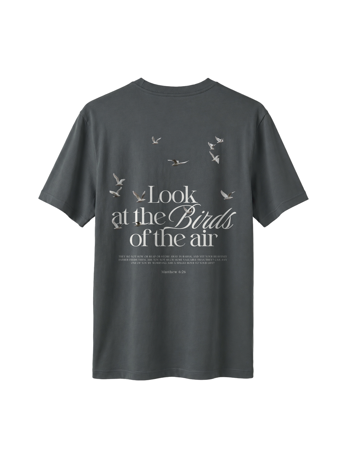 RELAXED FIT T-SHIRT LOOK AT THE BIRDS - sparker-anthracite-back.png - 7