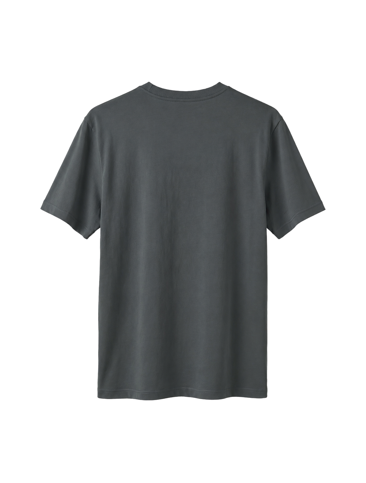 RELAXED FIT T-SHIRT TRUTH WILL SET YOU FREE - sparker-anthracite-back.png - 8