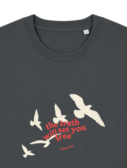 RELAXED FIT T-SHIRT TRUTH WILL SET YOU FREE - sparker-anthracite-front-close-1.png - 6