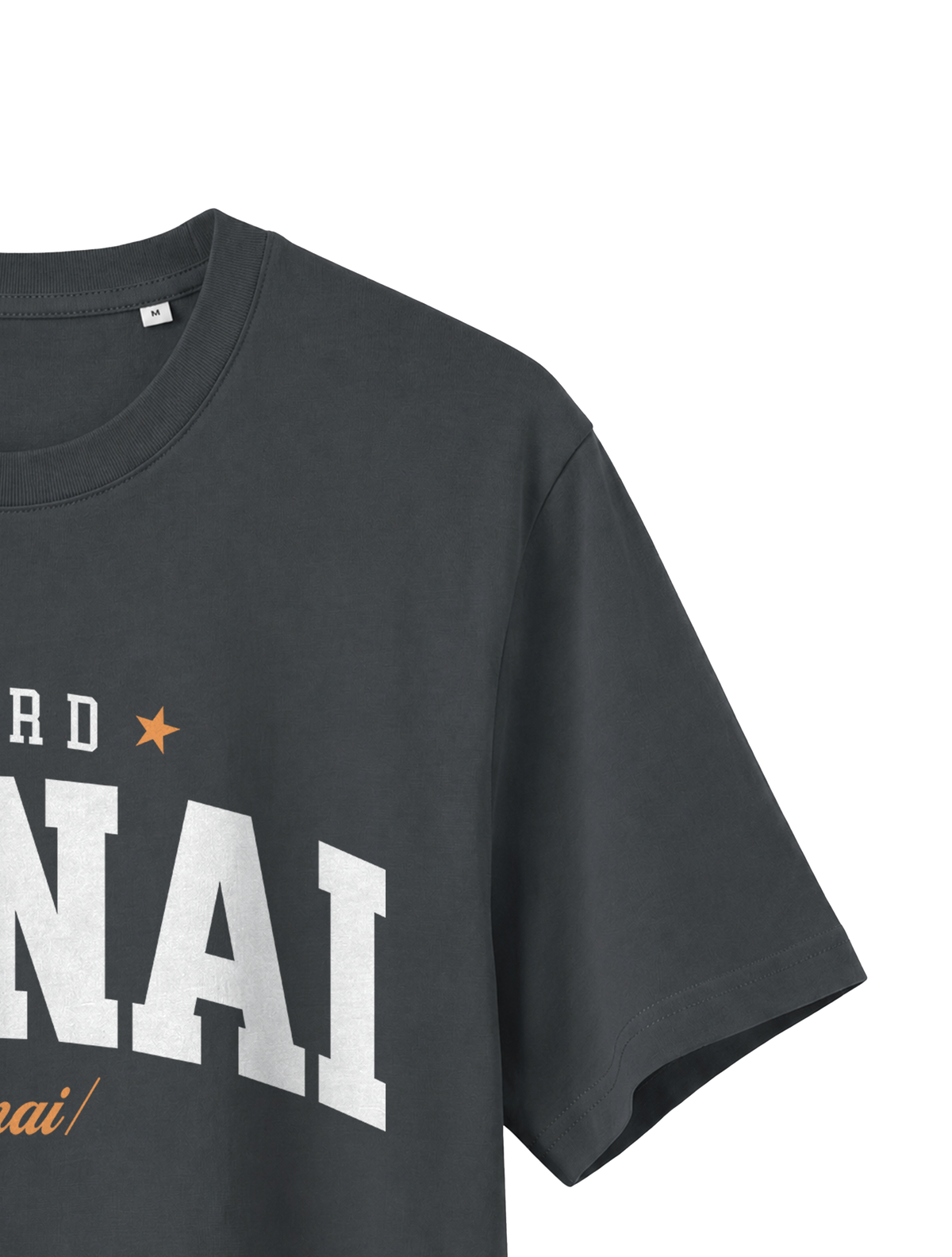 RELAXED FIT T-SHIRT ADONAI - sparker-anthracite-front-close-2.png - 7