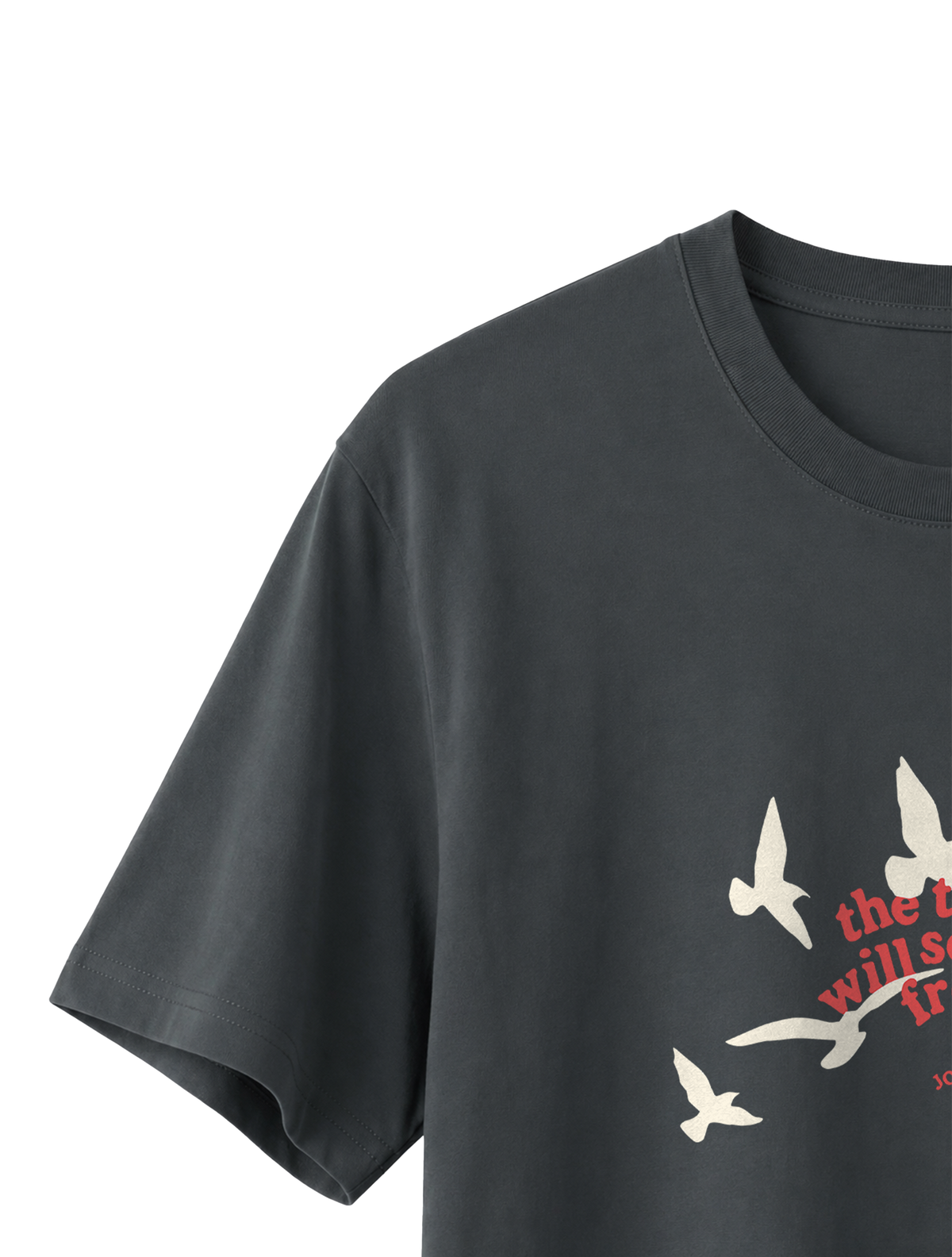 RELAXED FIT T-SHIRT TRUTH WILL SET YOU FREE - sparker-anthracite-front-close-3.png - 7