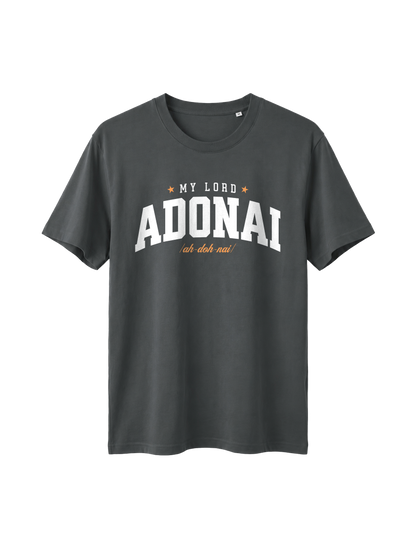 RELAXED FIT T-SHIRT ADONAI - sparker-anthracite-front.png - 5
