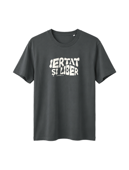 RELAXED FIT T-SHIRT IERTAT SI LIBER - sparker-anthracite-front.png - 1