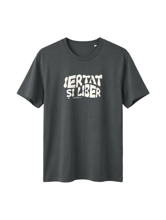 RELAXED FIT T-SHIRT IERTAT SI LIBER - sparker-anthracite-front.png - 1