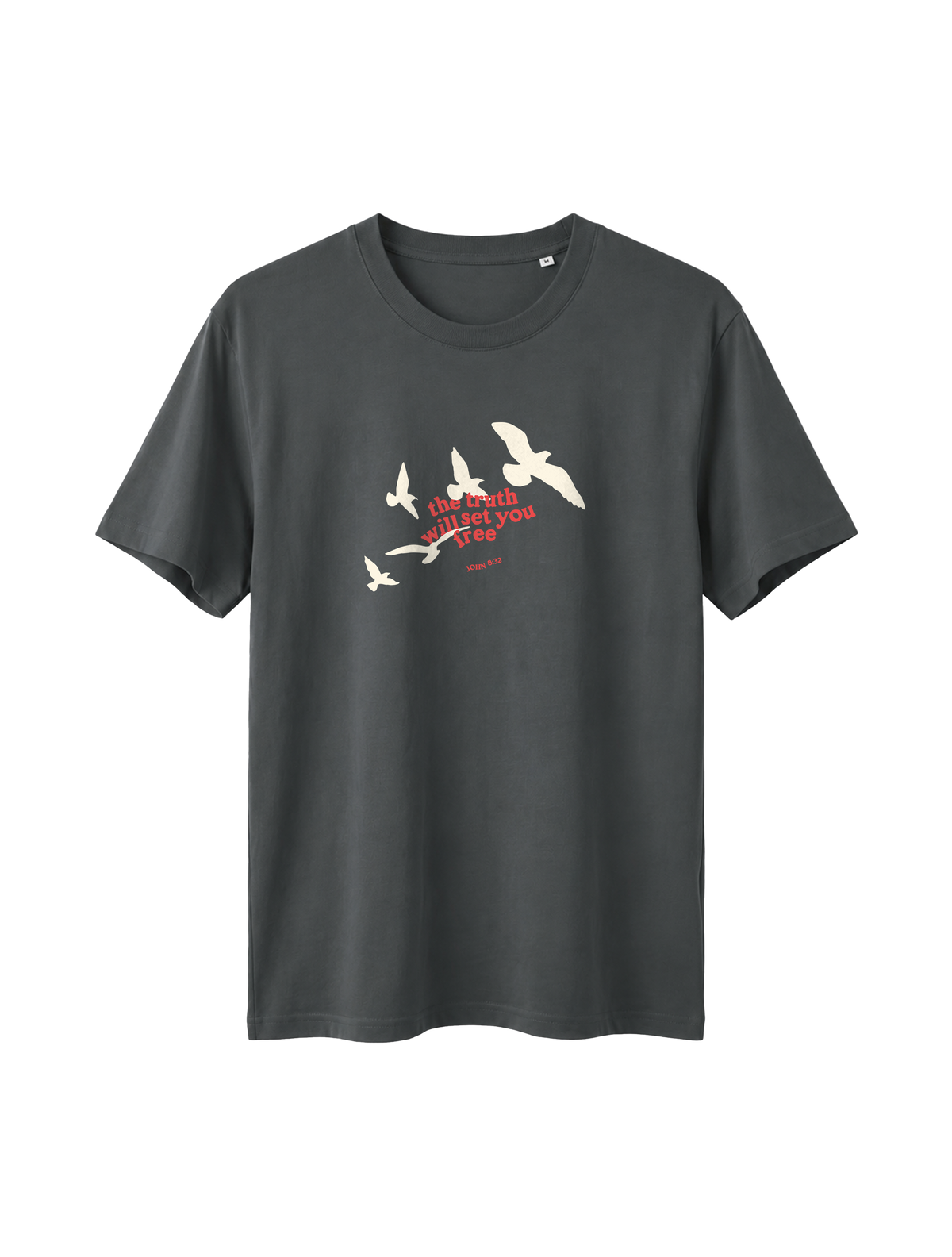 RELAXED FIT T-SHIRT TRUTH WILL SET YOU FREE - sparker-anthracite-front.png - 5