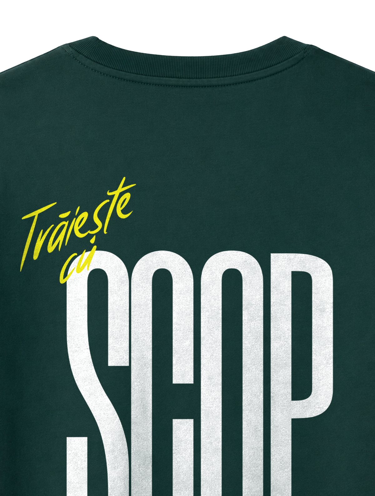 RELAXED FIT T-SHIRT TRAIESTE CU SCOP - sparker-glazed-green-back-close-1.png - 5