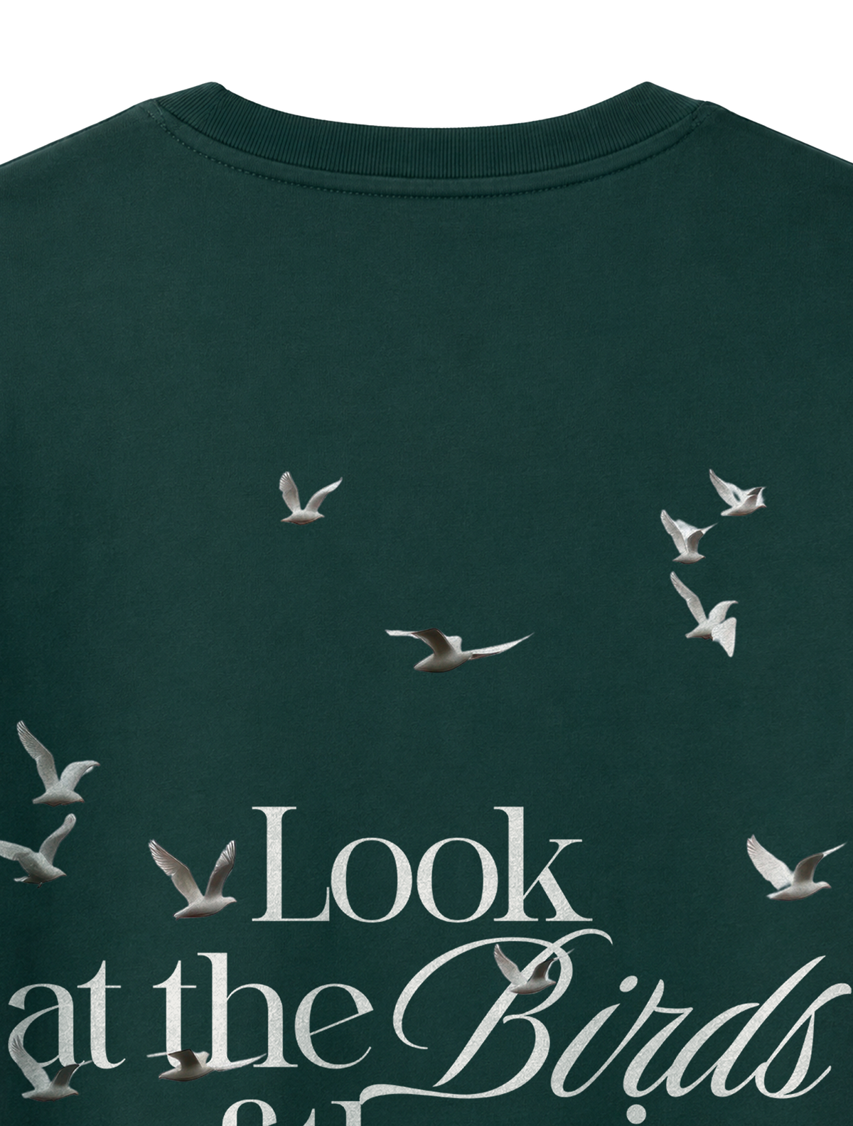 RELAXED FIT T-SHIRT LOOK AT THE BIRDS - sparker-glazed-green-back-close-1.png - 5