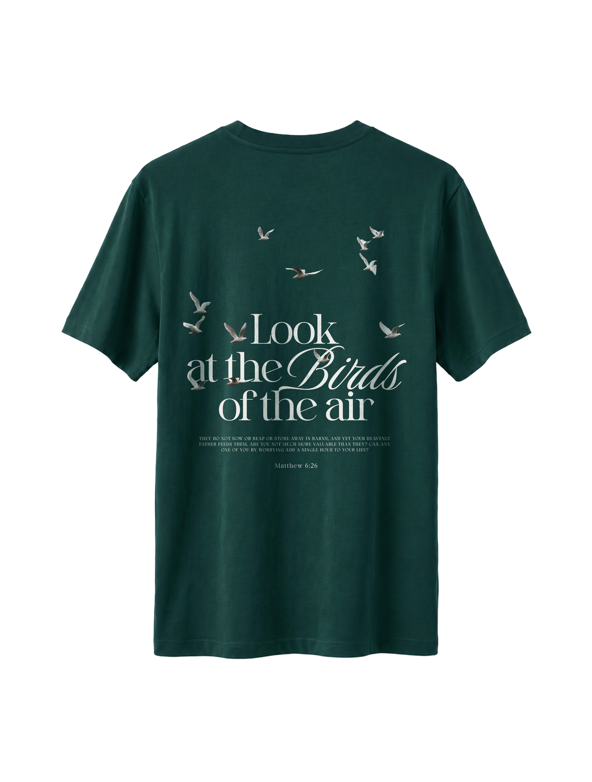 RELAXED FIT T-SHIRT LOOK AT THE BIRDS - sparker-glazed-green-back.png - 4