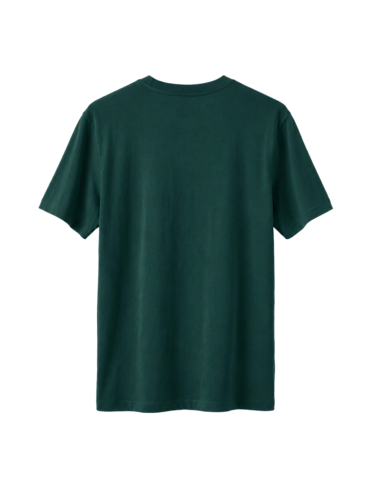RELAXED FIT T-SHIRT ADONAI - sparker-glazed-green-back.png - 4