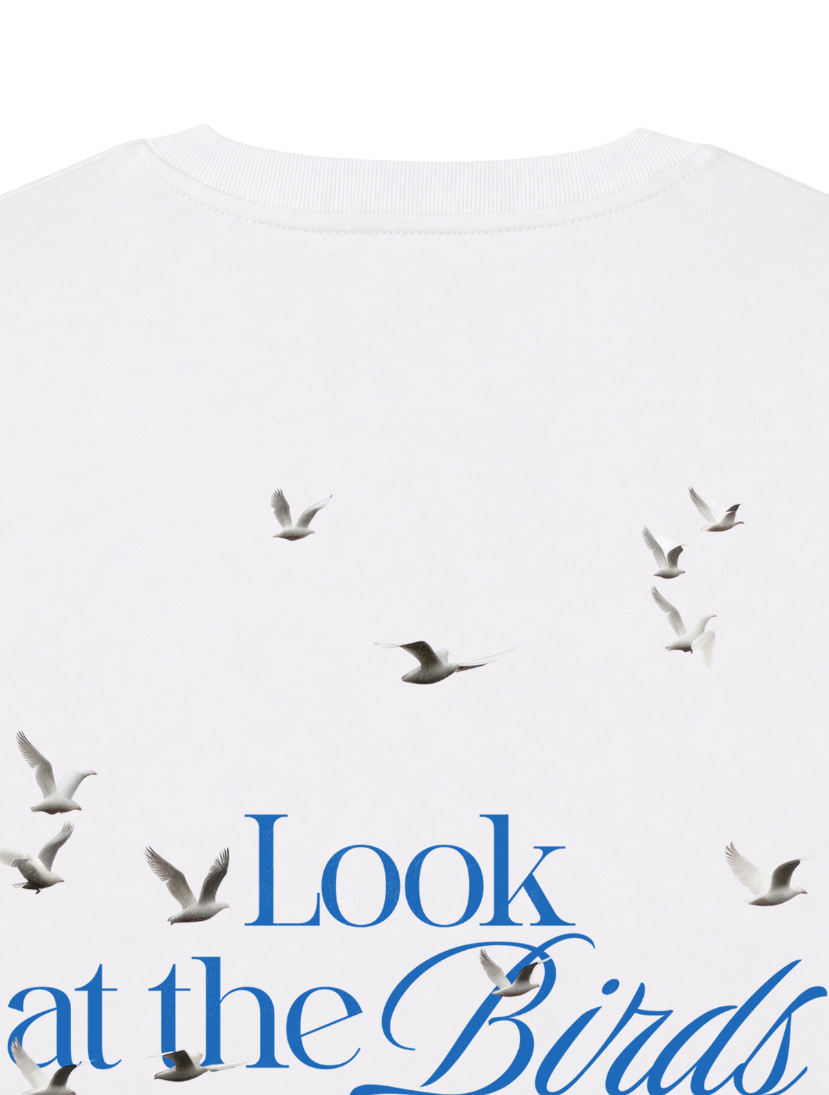 RELAXED FIT T-SHIRT LOOK AT THE BIRDS - sparker-white-back-close-1.png - 2