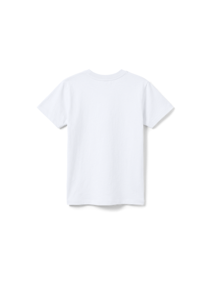 KIDS REGULAR FIT T-SHIRT FRUIT OF THE SPIRIT FRUITS - white-back.png - 5